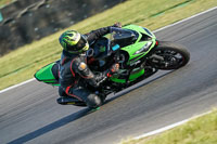 Evening Low_Mid Group